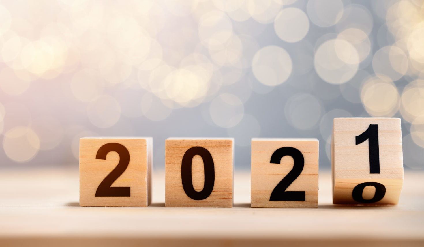 2020年の吉和の森を振り返る | WEB集客コンサルなら東京拠点・全国対応の吉和の森