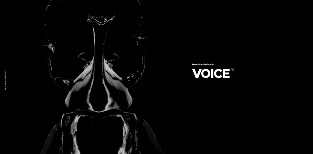 株式会社ヴォイス